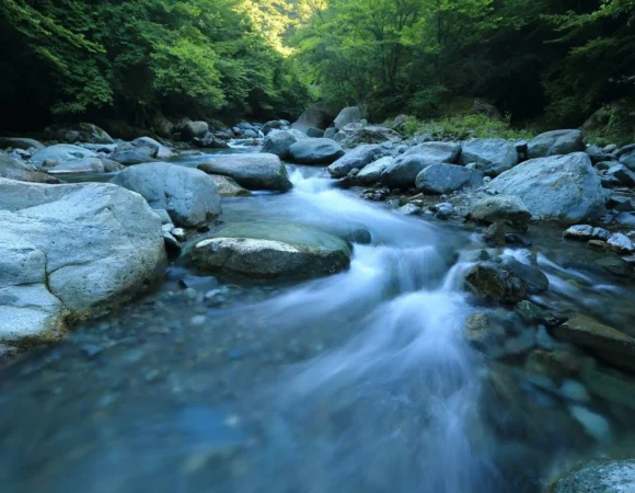 15 Hidden Gems in Lehigh Valley That Only Locals Know