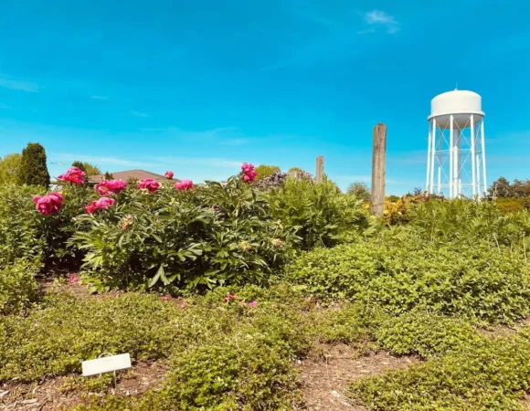 15 Must-Visit Hidden Gems in Lexington (2025)