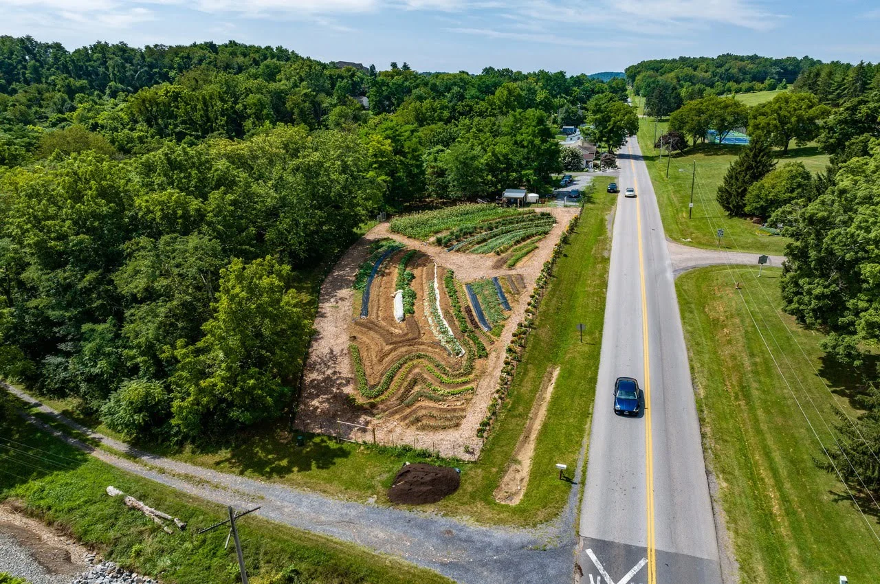 green are with a cars on the road - among hidden gems in Charlottesville
