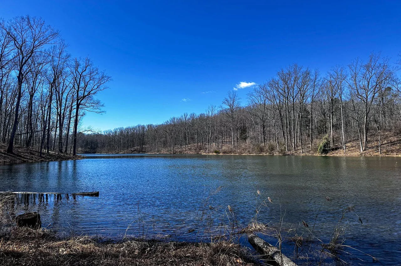 a river with trees on the other side