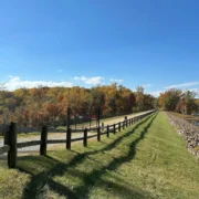 Hidden gems in Charlottesville