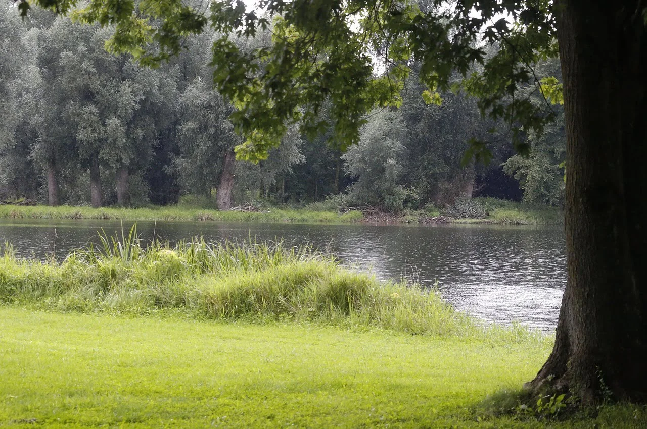 flowing river with the back drop of trees and greenery