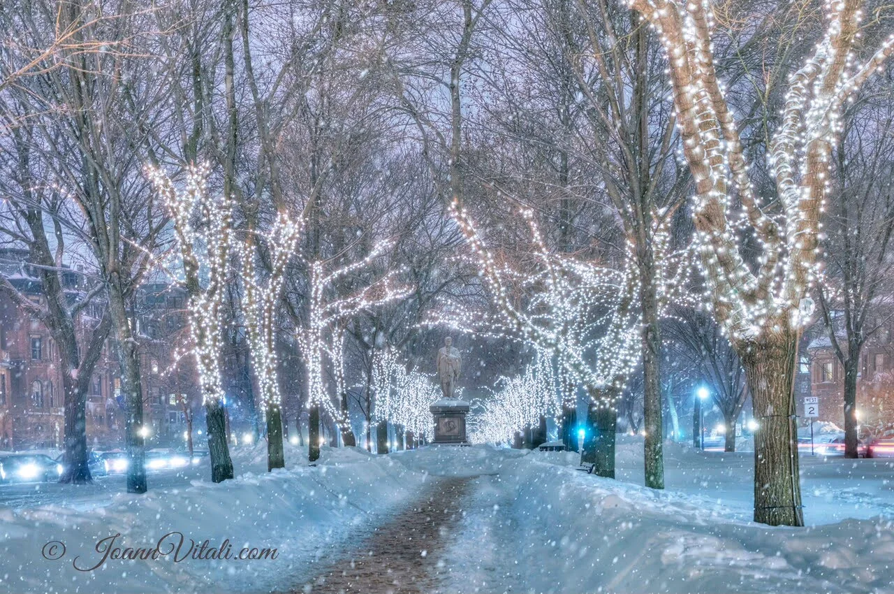 Trees with lights and a statue in front.