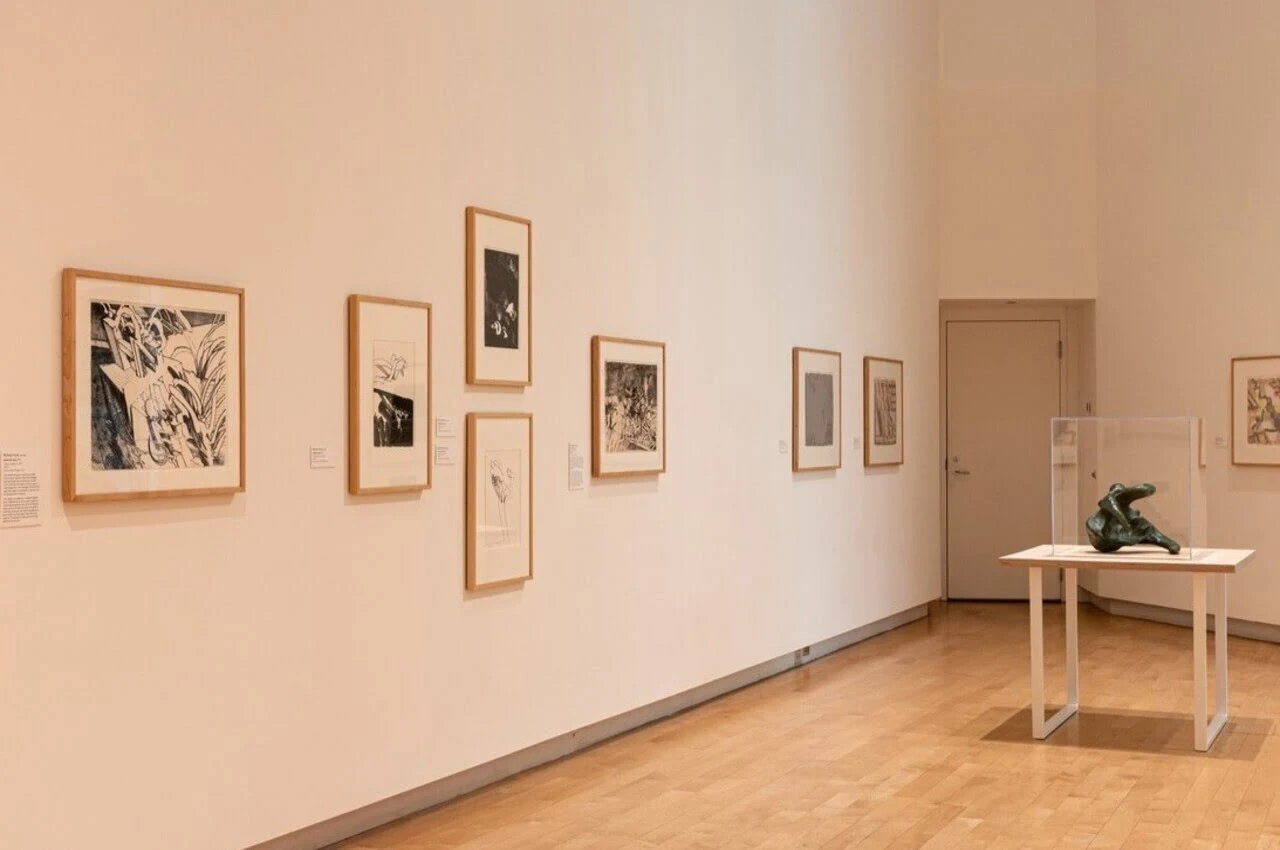 Paintings hanging on the wall.