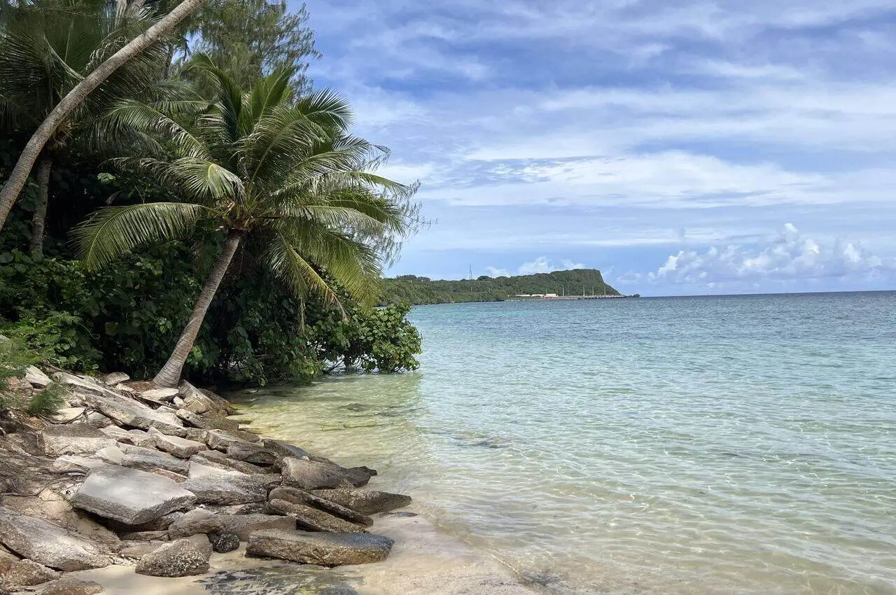 Beach with views of the forest on the other side.