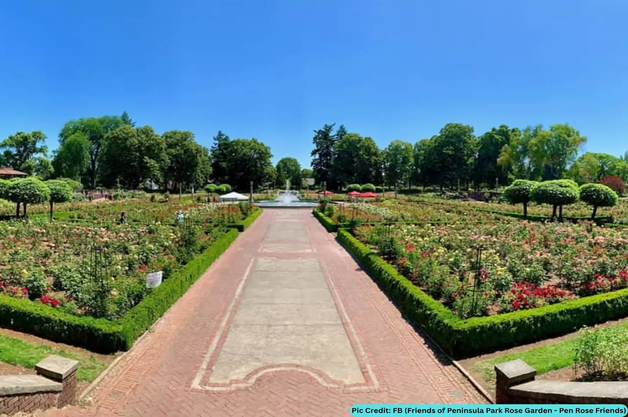 A garden with a fountain in the middle.
