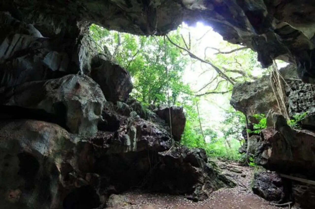 Inside views from a cave.