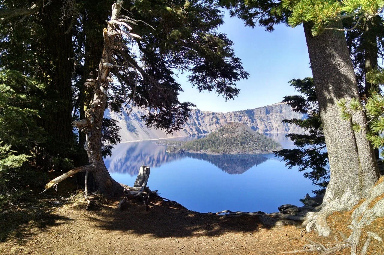 A lake surrounded by trees - among hidden gems in Oregon